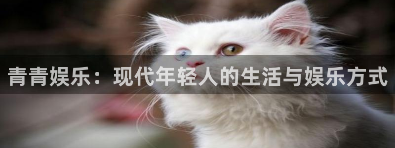 摩登6平台：青青娱乐：现代年轻人的生活与娱乐方式